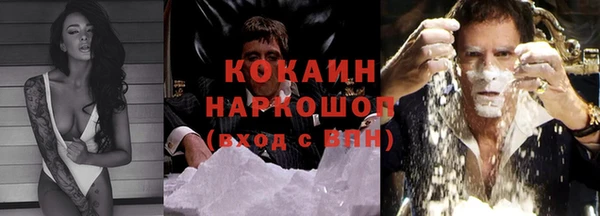 прущая мука Вяземский