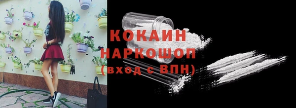 прущая мука Вяземский