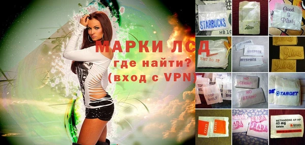 шишки Соликамск