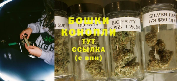 прущая мука Вяземский