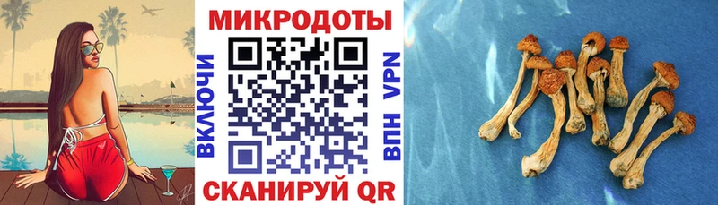 ОМГ ОМГ как зайти  Гаврилов-Ям  Галлюциногенные грибы Magic Shrooms 